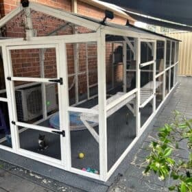 Customer photo Fiona Fog - Castle Cat Enclosure and Run