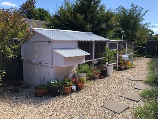 Large chicken chicken coop in a rustic backyard