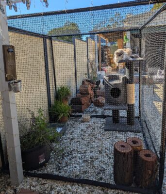Customer photo - Manor Catio Netting with scratching post and stumps in garden