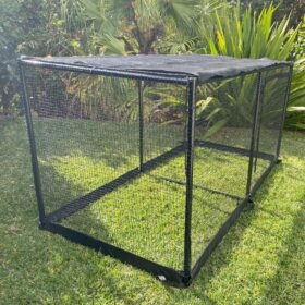 Oasis Catio