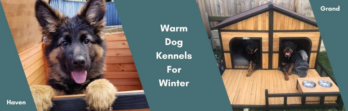 Warm dog kennels for winter - Web banner
