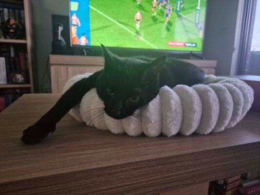 Cloe Cat Bed