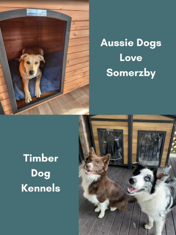 Dog Kennels - Mobile Banner